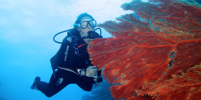 Plongée à l'Île des Pins