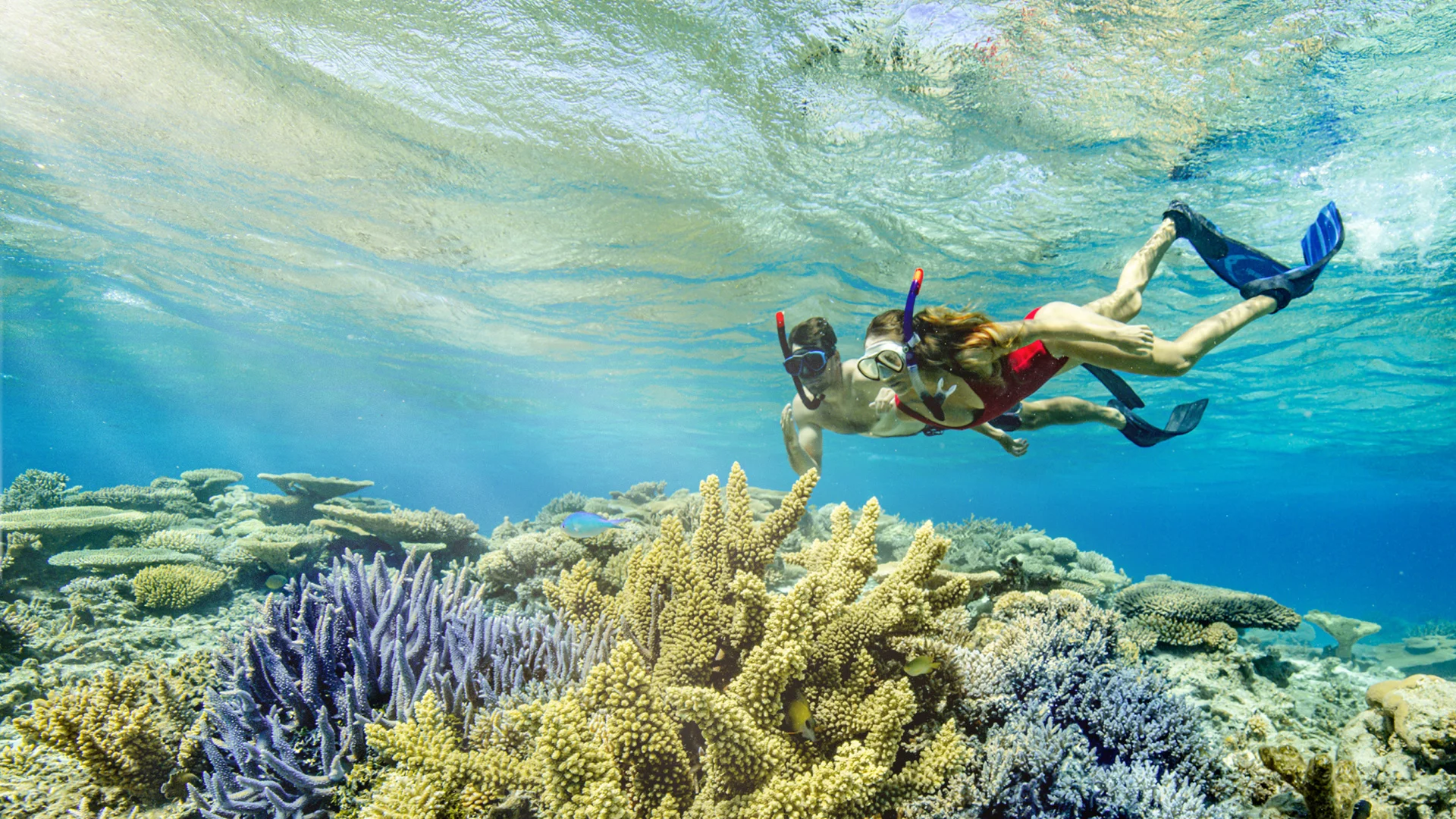 Nouveau Départ - Snorkeling en Nouvelle Caledonie