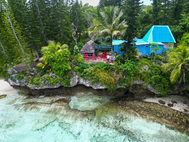 Aerial view of Gîte Chez Mejo in Maré, set by the sea on a coral cliff, surrounded by coconut palms and columnar pines.