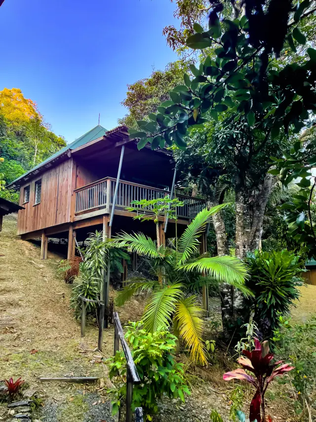 Timber bungalow on stilts at Ka Waboana Lodge in Hienghène, surrounded by lush tropical vegetation.