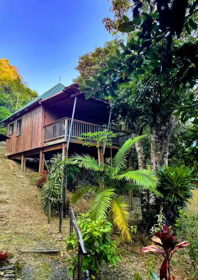 Bungalow en bois sur pilotis du Ka Waboana Lodge à Hienghène, entouré d’une végétation tropicale luxuriante.