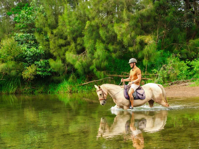 Horseback riding in Ouenghi