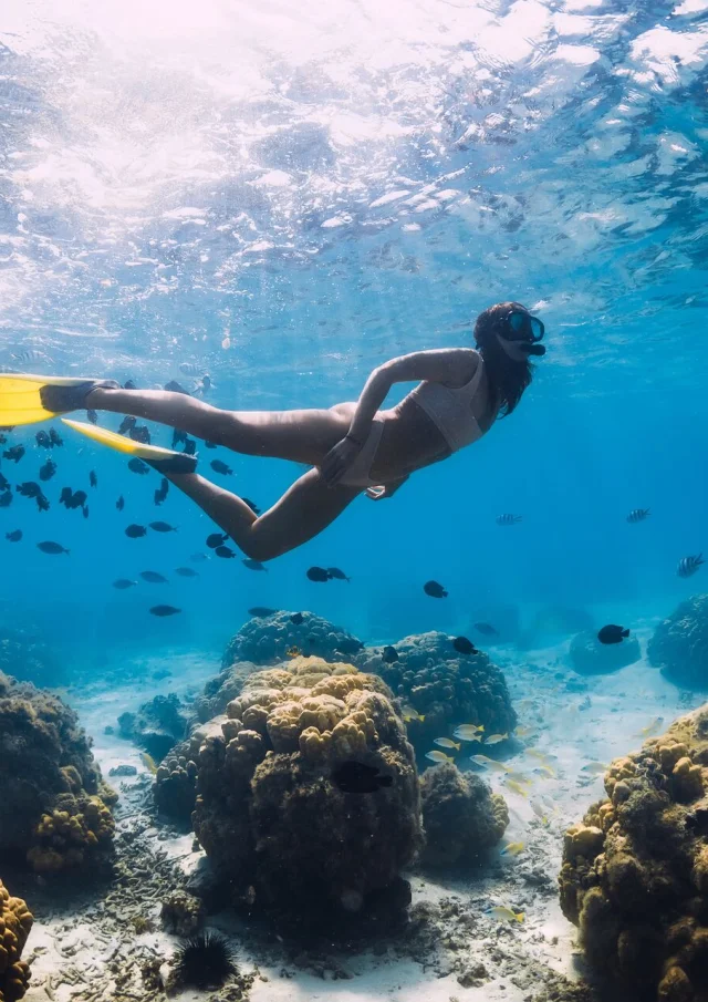 Snorkeling à l'îlot Goéland