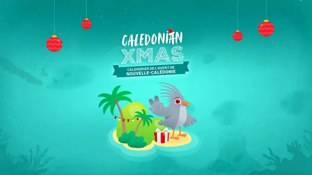 Caledonian Xmas 2025