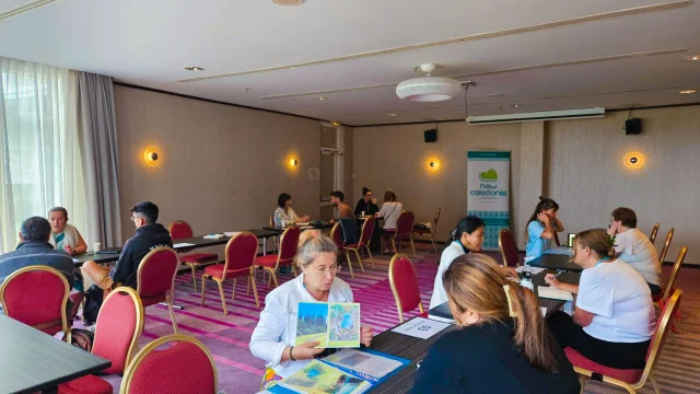 NZ Workshop in Noumea at Le Meridien.