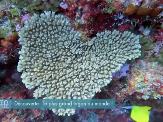 Découverte : Nouvelle-Calédonie, le plus grand lagon du monde dans Météo à la carte sur France 3