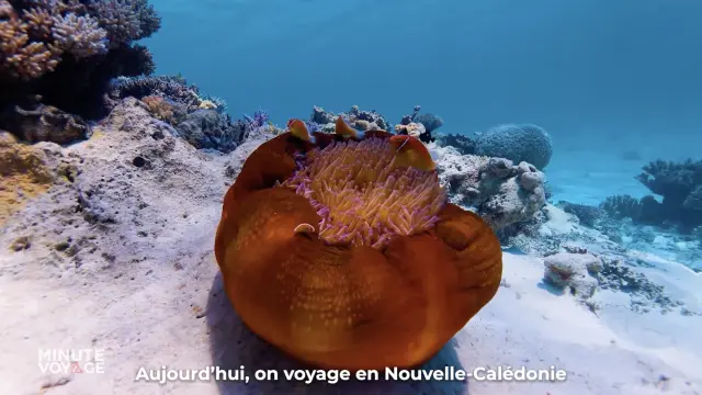 La Minute Voyage en Nouvelle-Calédonie.2025