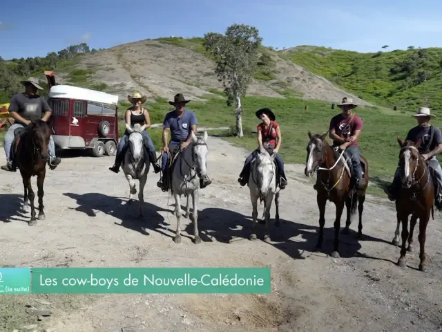 Les cow-boys de Nouvelle-Calédonie perpétuent la tradition.