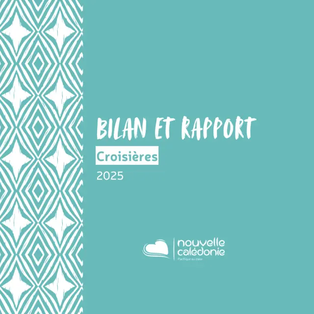 Bilan Et Rapport Croisieres 2025