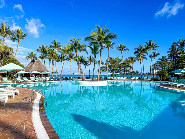 Swimming pool at Domaine Nouméa lined with palm trees, sun loungers and a sea view.