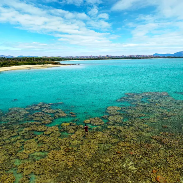 Vue aérienne de la plage de Nénon à Poum, avec lagon turquoise, patates de corail et pêcheur debout sur le récif.