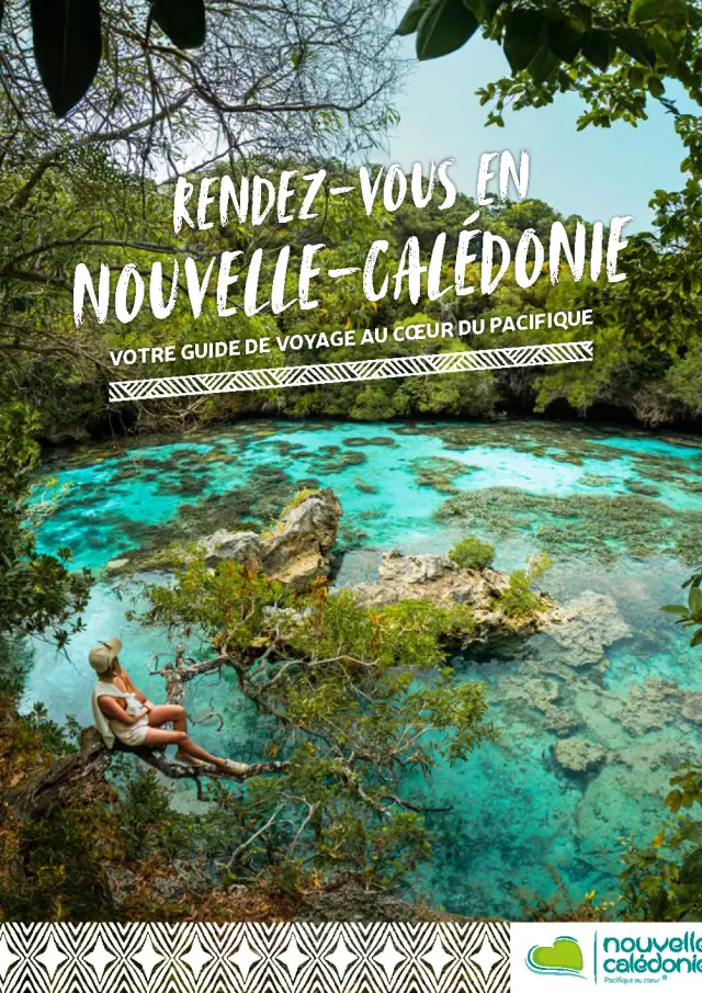Cover Brochure Rdvinnc 2026