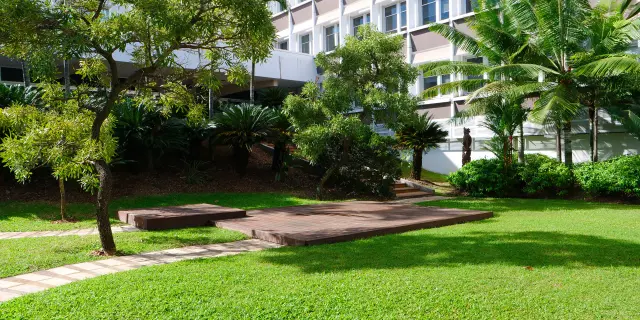 Landscaped garden next to the wedding room at Nouméa City Hall, with lawn, tropical trees and a wooden platform.