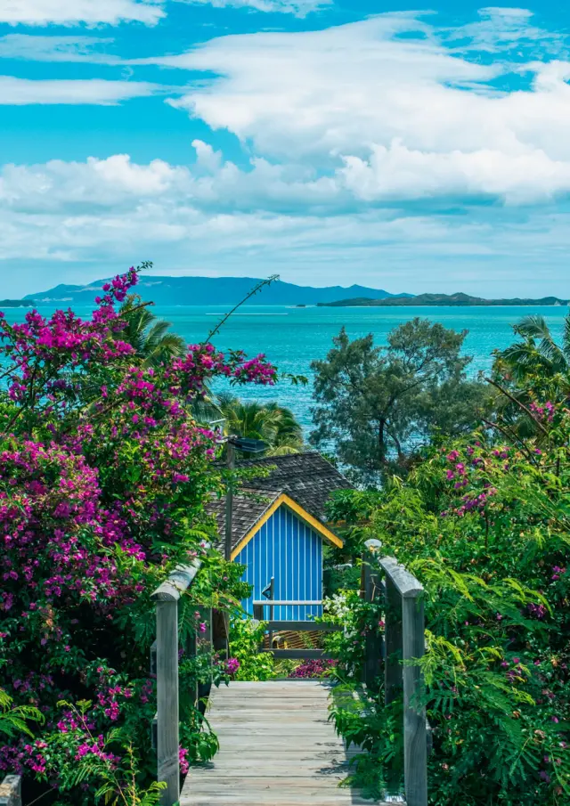 Vue panoramique depuis les hauteurs du Beach House Lodge à Poum, avec un sentier en bois au milieu d’une végétation fleurie, une villa colorée et le lagon en arrière-plan.