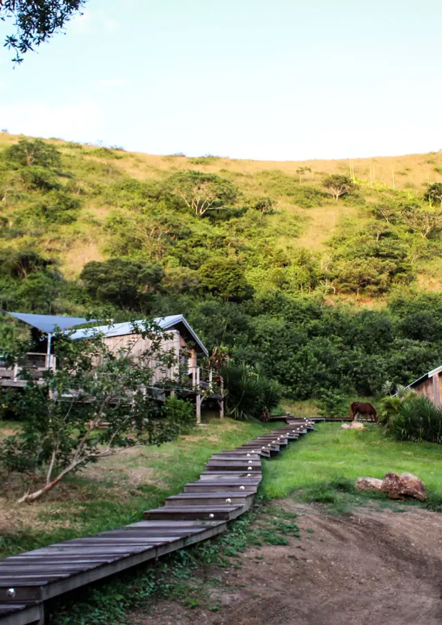 Vue extérieure des chalets du Betikuré Parc Lodge à Bourail, reliés par une passerelle en bois et installés au pied des collines.