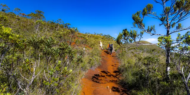Hikers walk along a red-earth trail in the Blue River Provincial Park, surrounded by native vegetation under a deep blue sky.